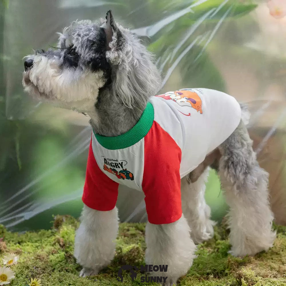 TOmaTO Friends Summer Thin Dog Comfortable Fashion T-shirt