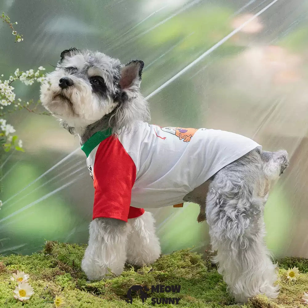 TOmaTO Friends Summer Thin Dog Comfortable Fashion T-shirt