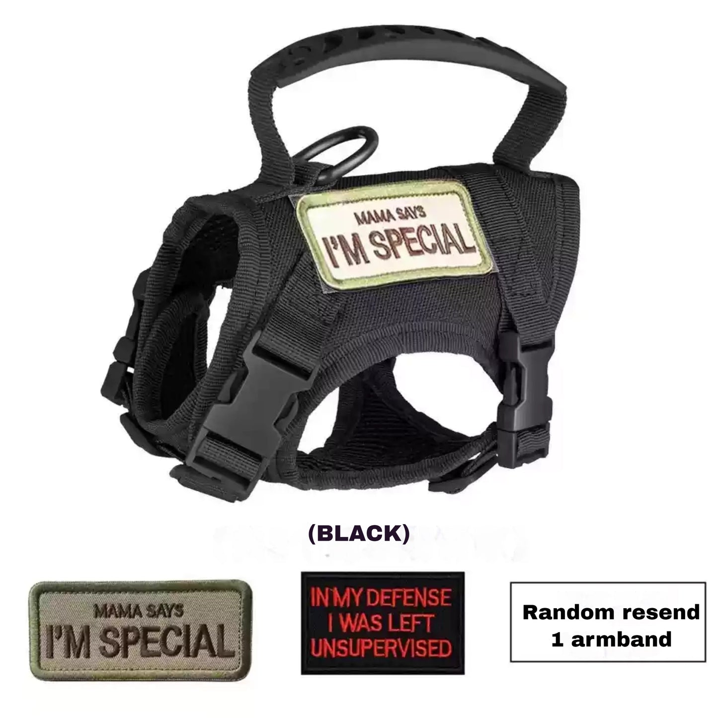 Balance No-Pull Dog Harness, Medium: 35 to 51-cm chest