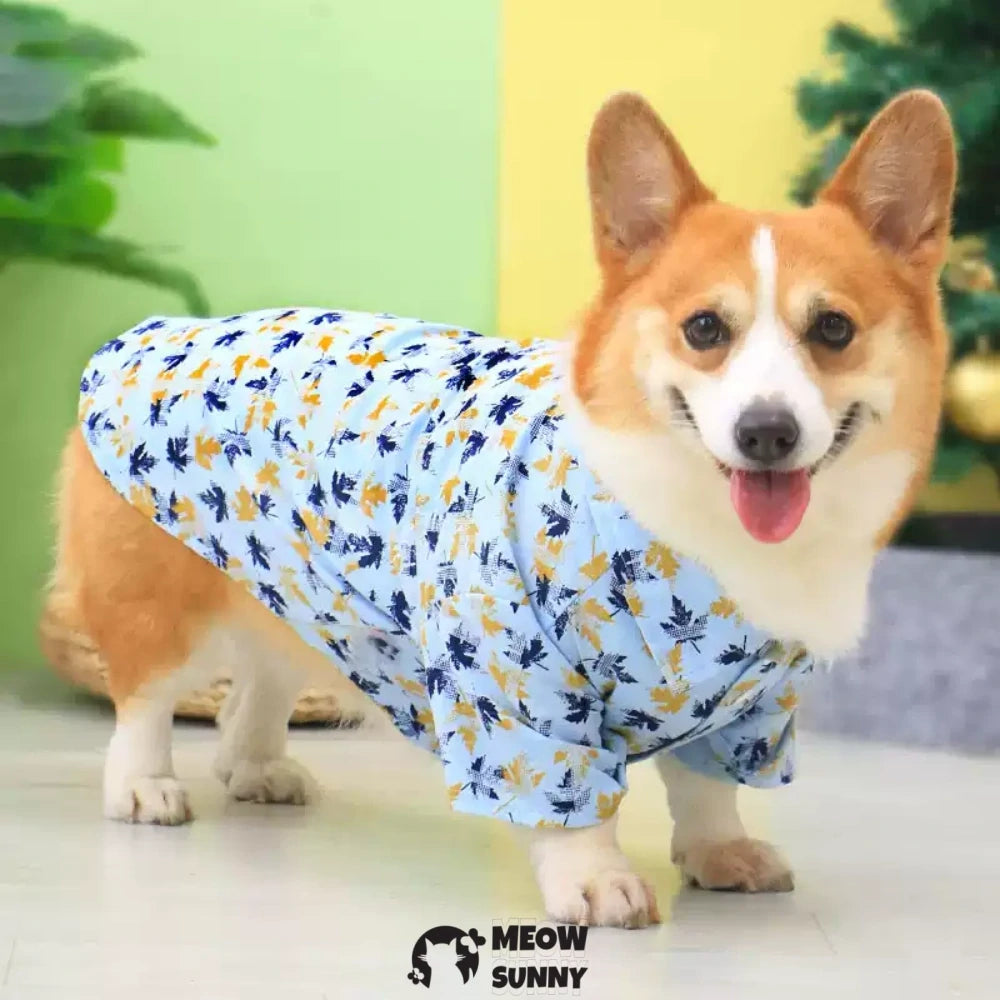 Thin corgi teddy dog clothes summer clothes