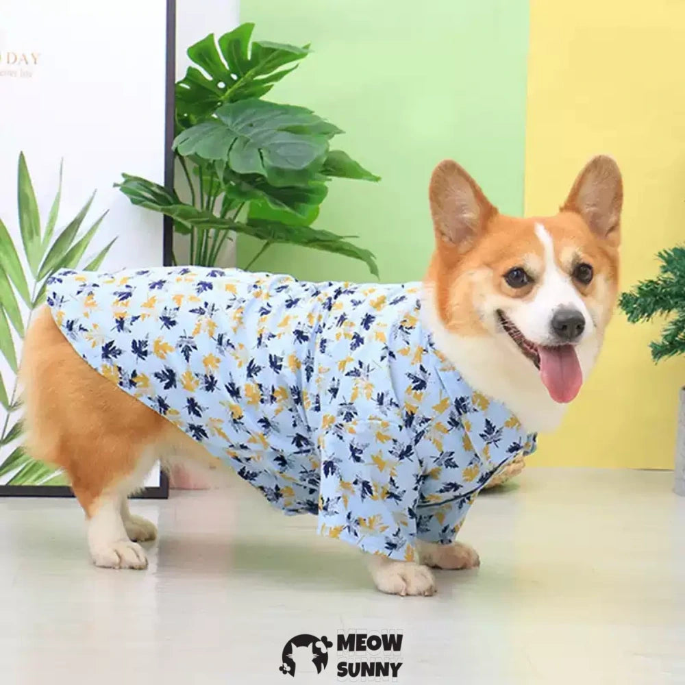 Thin corgi teddy dog clothes summer clothes