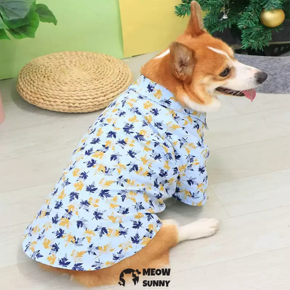 Thin corgi teddy dog clothes summer clothes