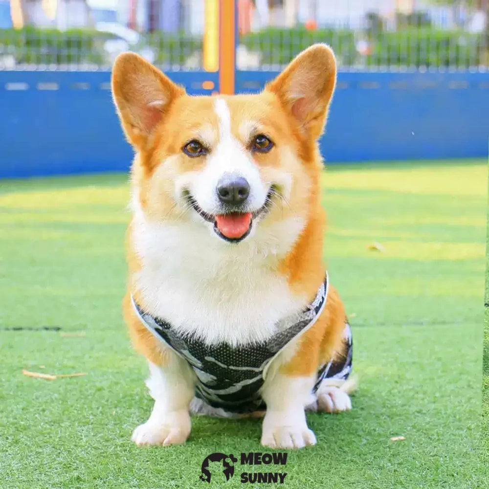 Thin summer breathable four-season anti-shedding vest for pet dogs