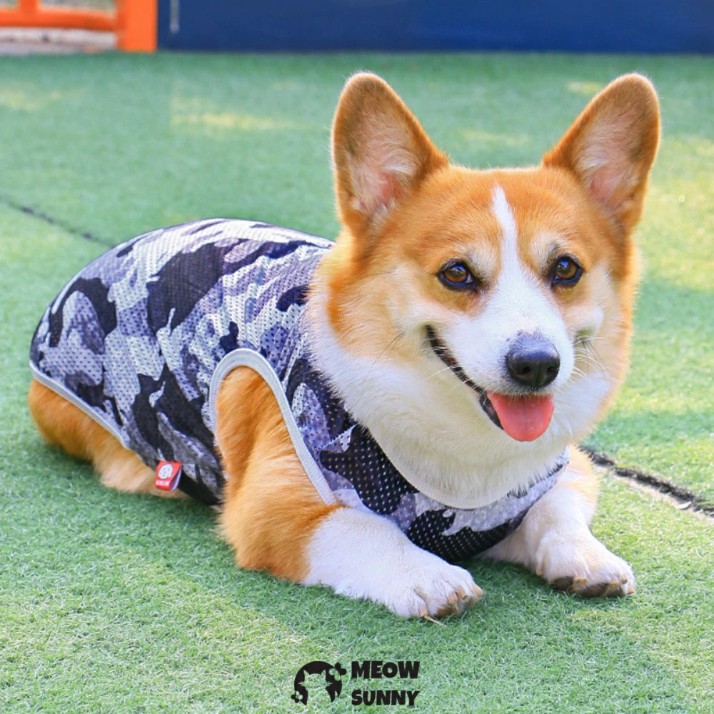 Thin summer breathable four-season anti-shedding vest for pet dogs
