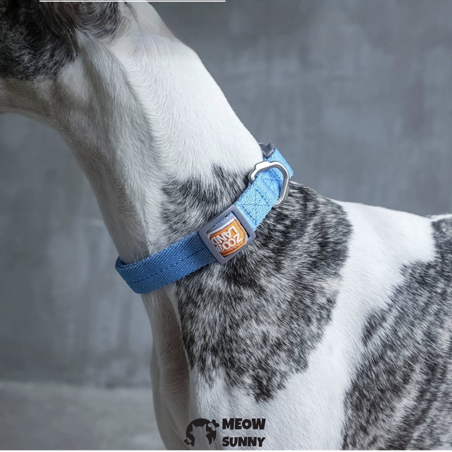 Traction Rope & Collar Set Dog Leash Dog Walking Rope Collar