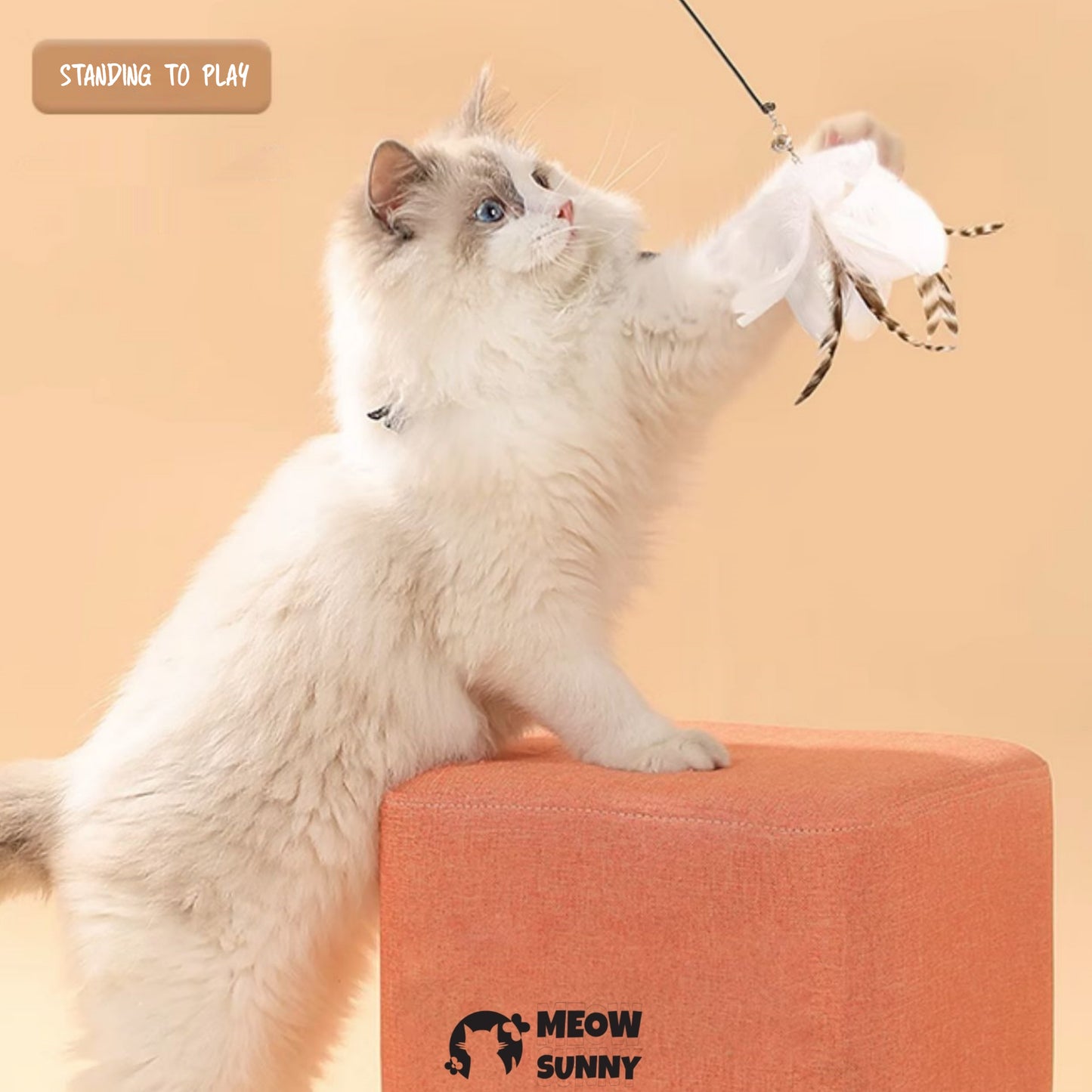 Interactive Cat Toys Natural Bird Feather