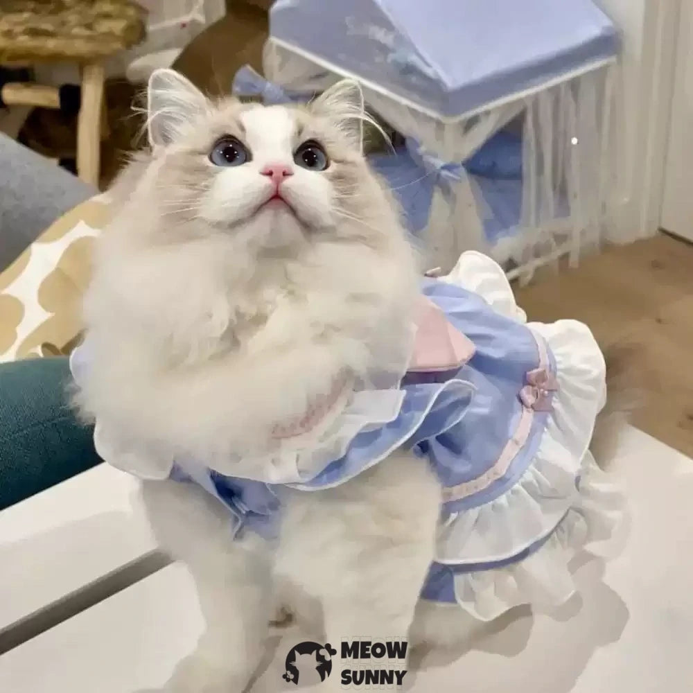 Violet Cat Princess Dress Cat Lolita Lace Bow Clothes