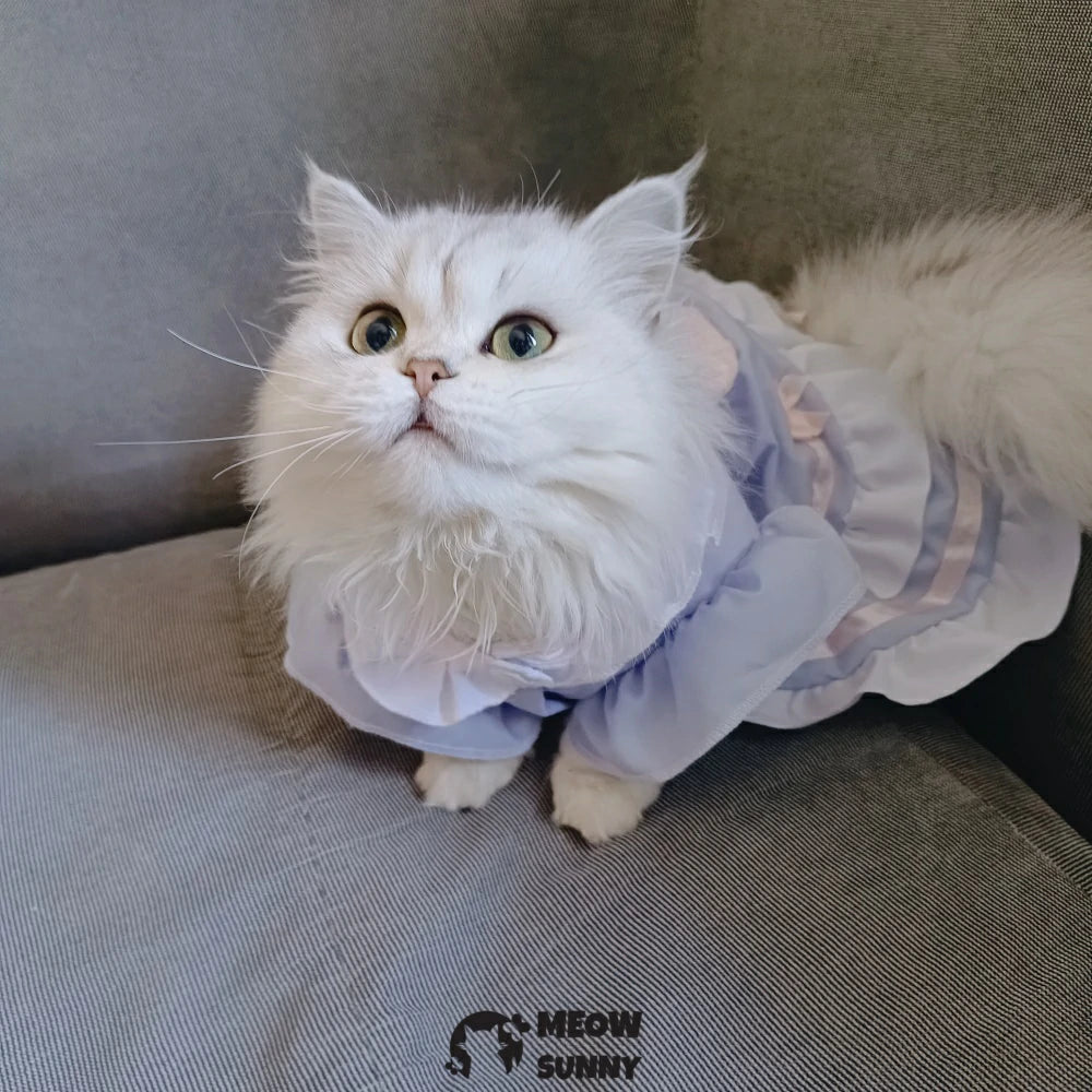 Violet Cat Princess Dress Cat Lolita Lace Bow Clothes
