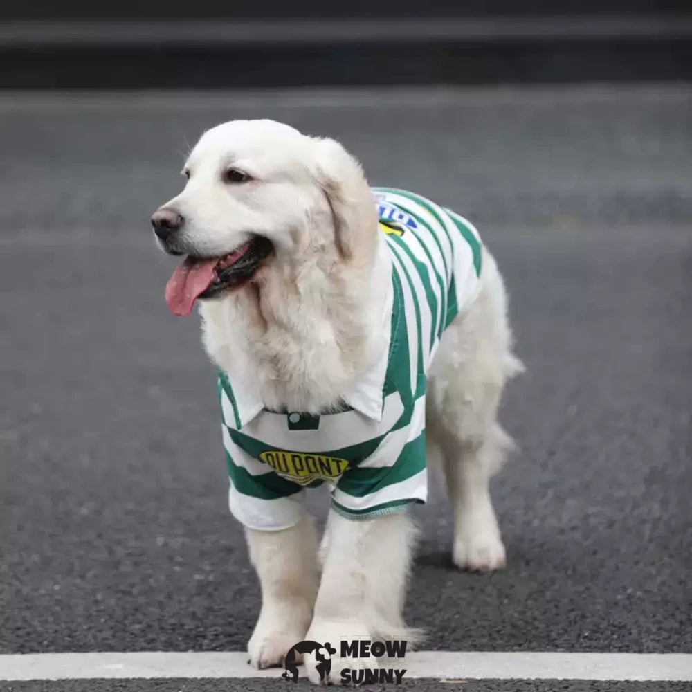 Wide Stripes Dog Shirts Green and White Striped Waffle Knit Pet T-Shirt