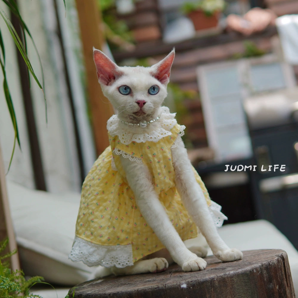 Yellow lace dress with cute fruit pattern and cat bow