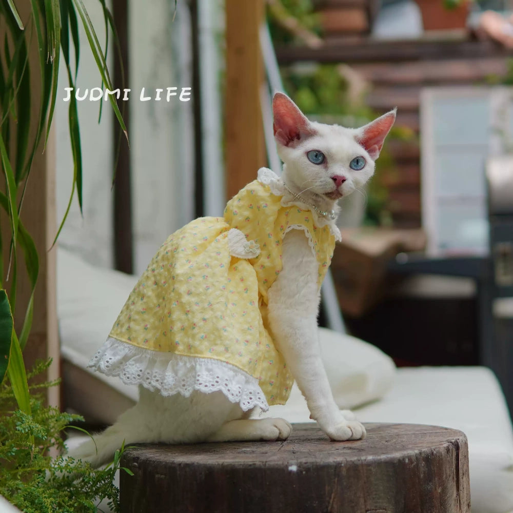 Yellow lace dress with cute fruit pattern and cat bow