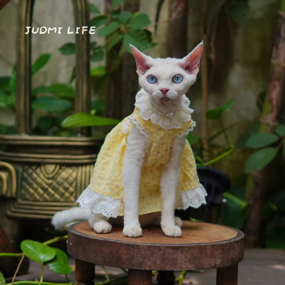 Yellow lace dress with cute fruit pattern and cat bow
