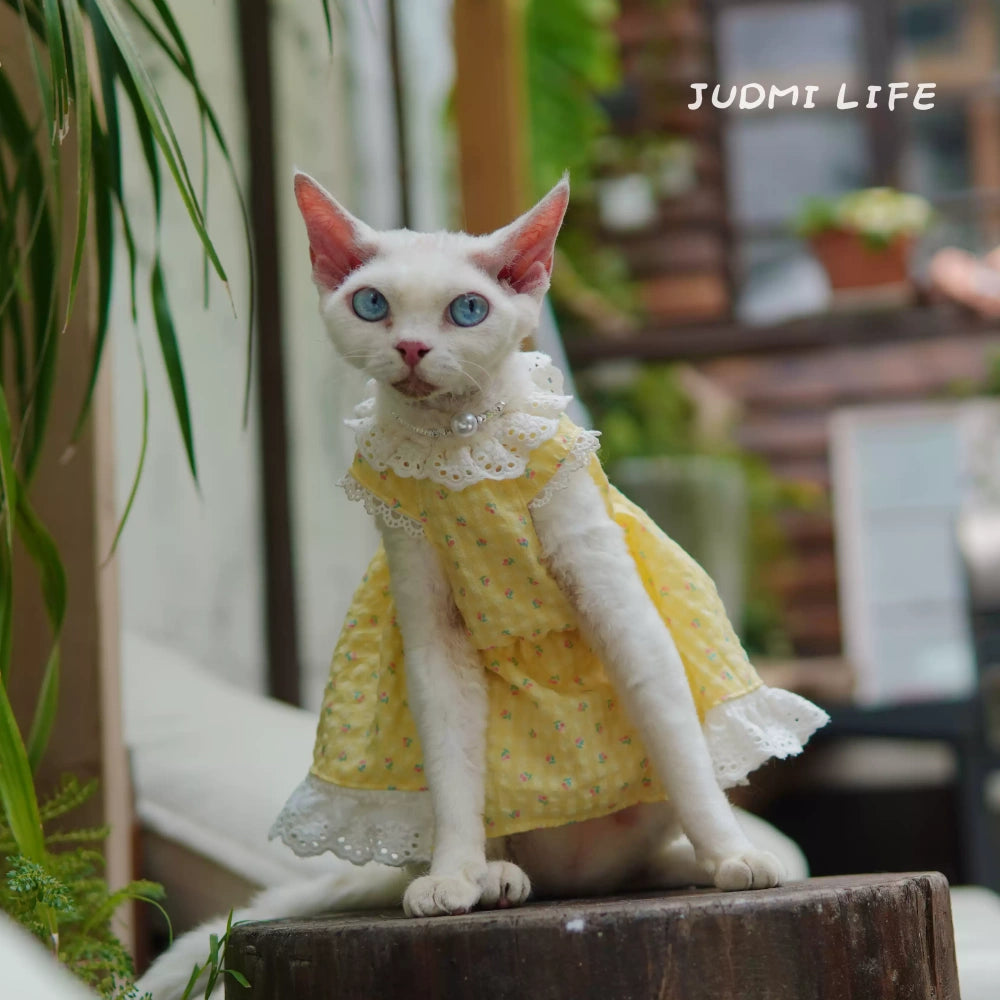 Yellow lace dress with cute fruit pattern and cat bow