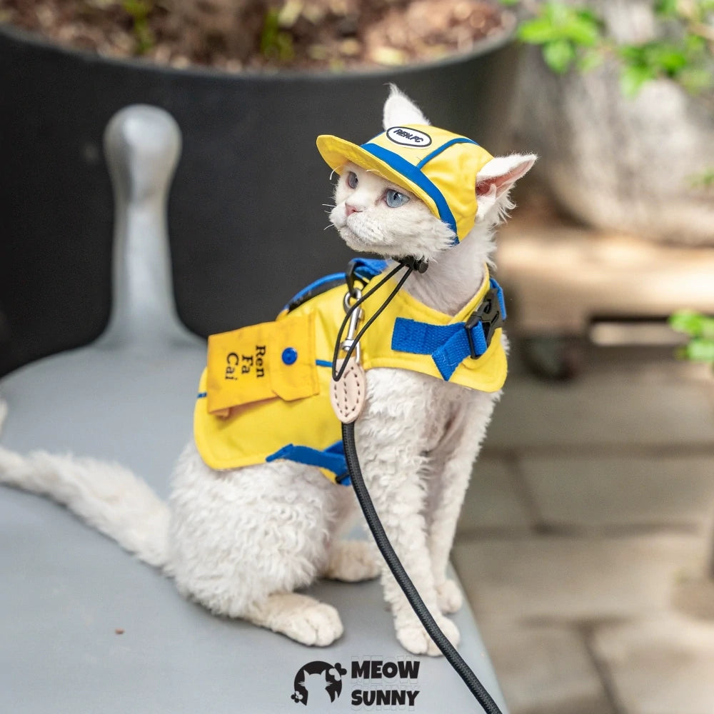 Yellow popular handsome outdoor cat chest strap suit with hat