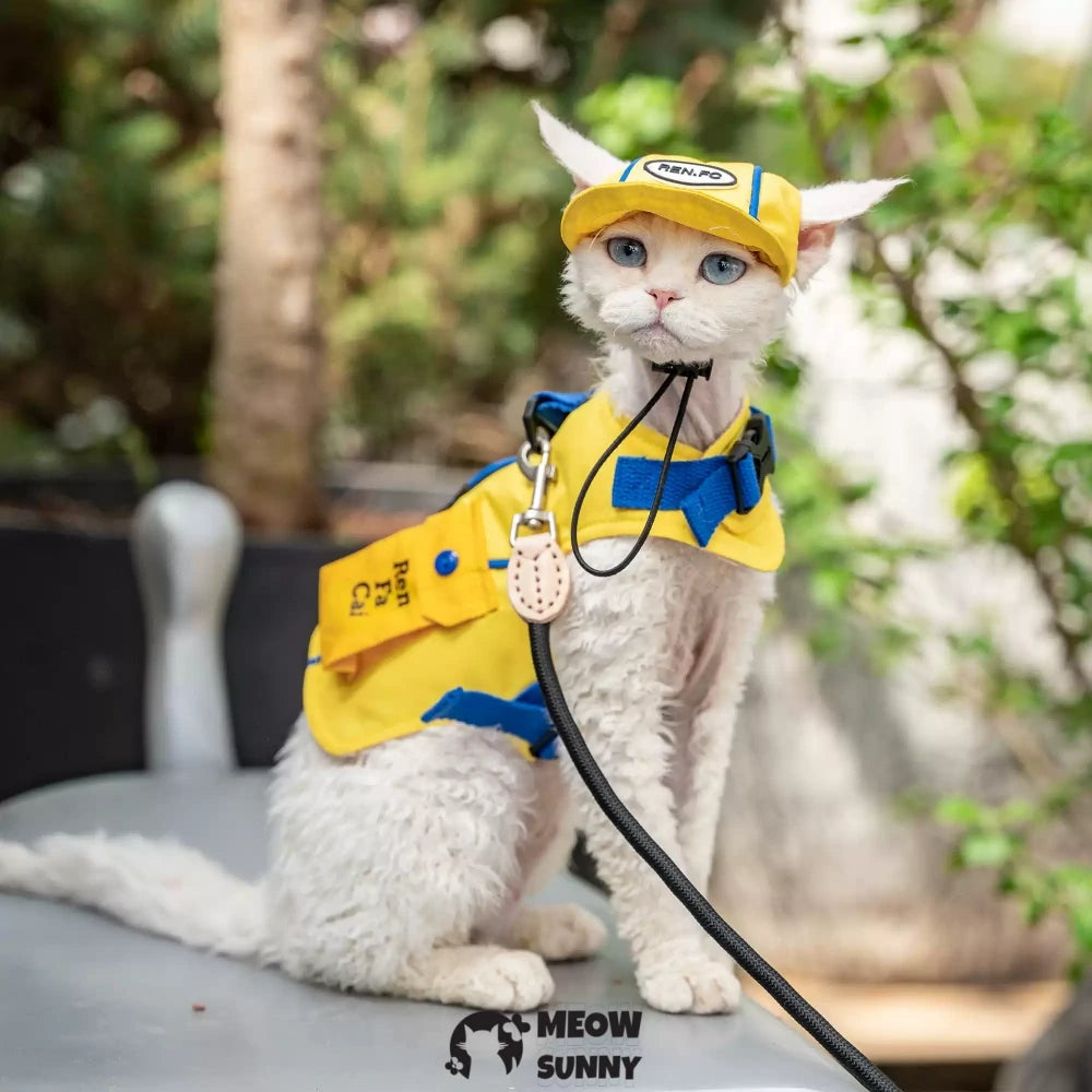 Yellow popular handsome outdoor cat chest strap suit with hat