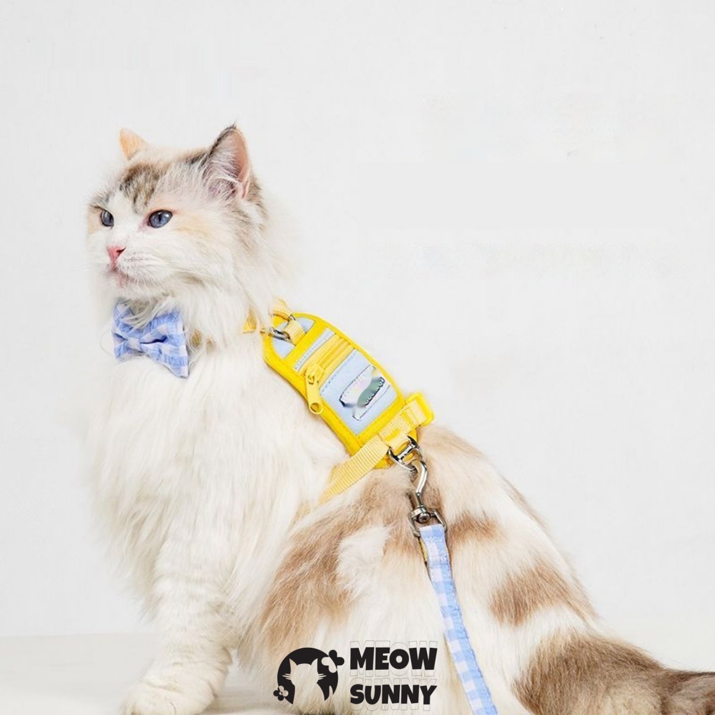 PetSafe Come with Me Kitty Nylon Cat Harness & Bungee Leash, Lilac/Yellow, Medium: 5to 18 in chest