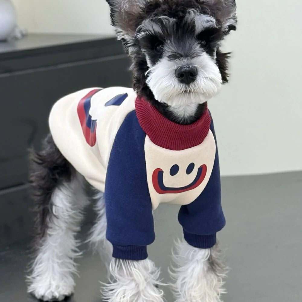 Dog autumn and winter clothes plush cotton colorblock sweatshirt