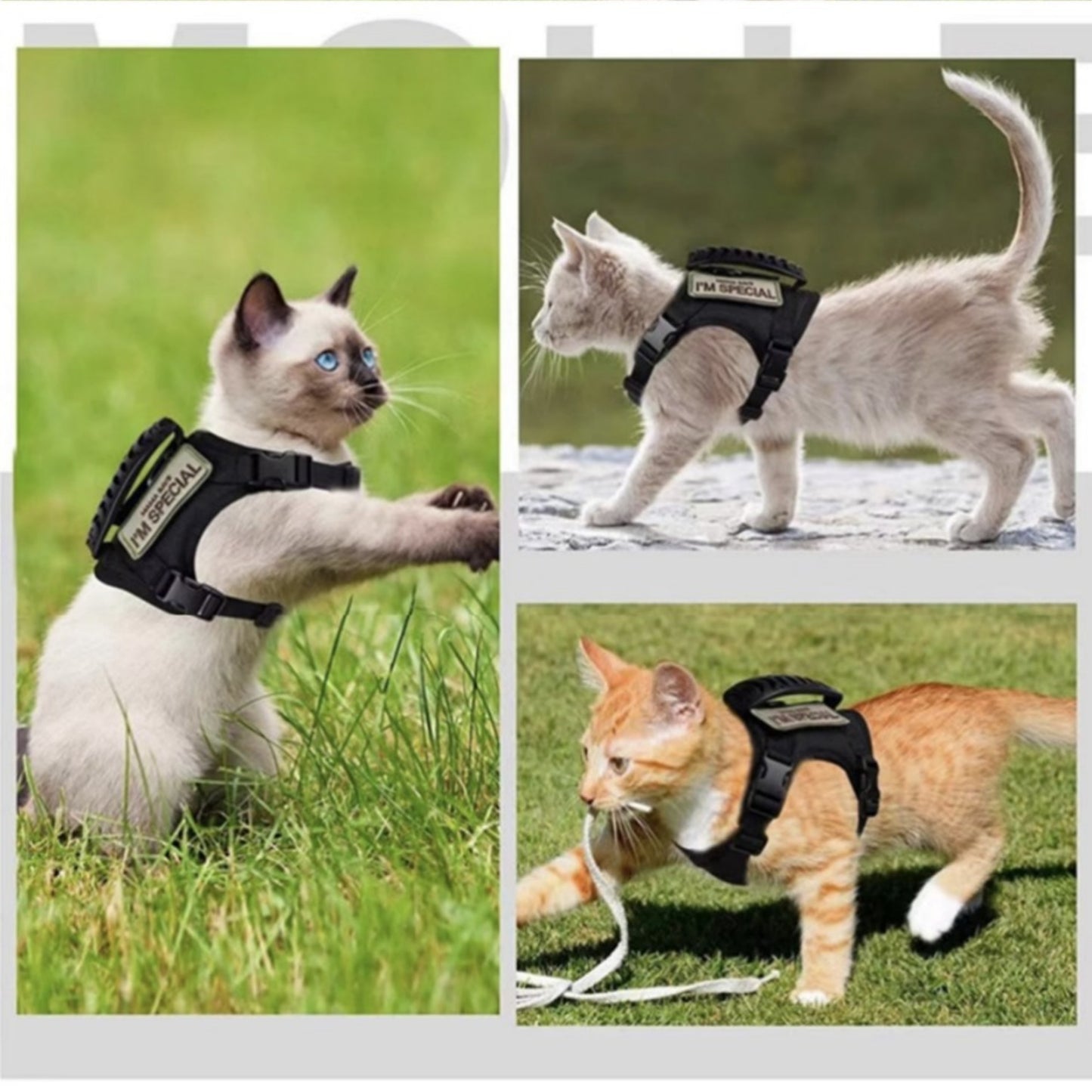 Balance No-Pull Dog Harness, Medium: 35 to 51-cm chest