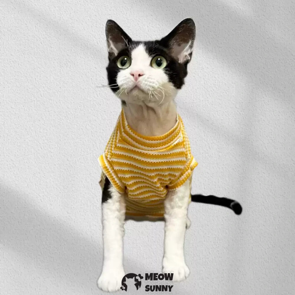 Summer Hairless Cat Clothes German Short Sleeve Striped Cotton Vest