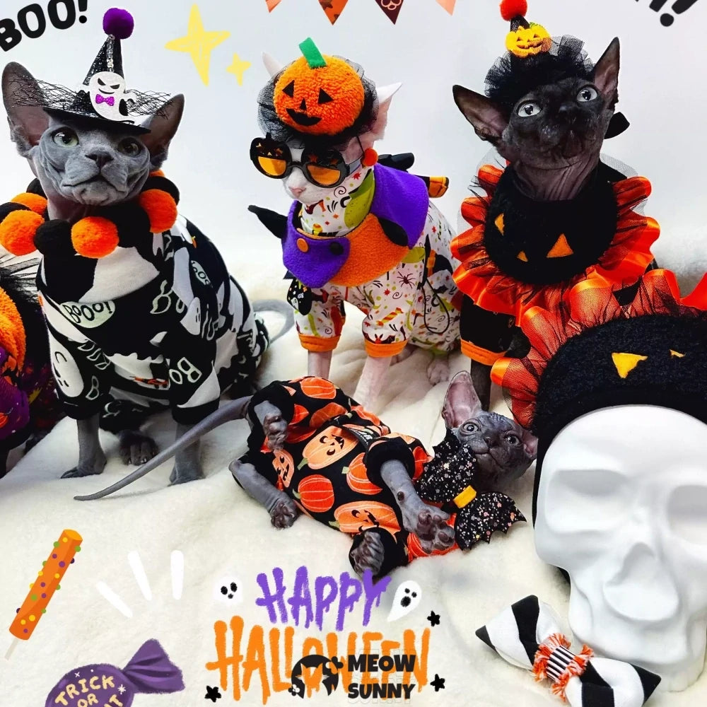 Pure cotton hairless cat clothes pure cotton Halloween handsome four-legged cover