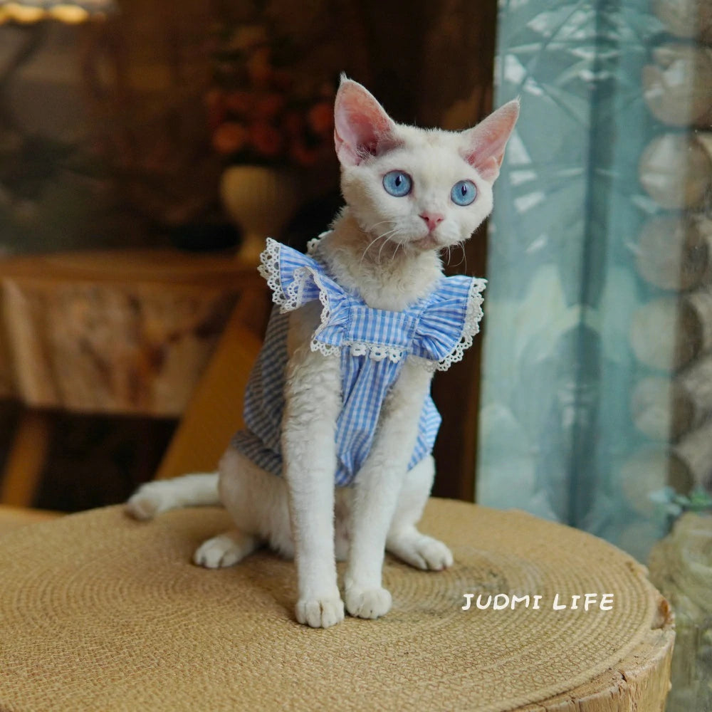Summer Cat Clothing Blue Plaid Comfortable Transparent Pet Dress