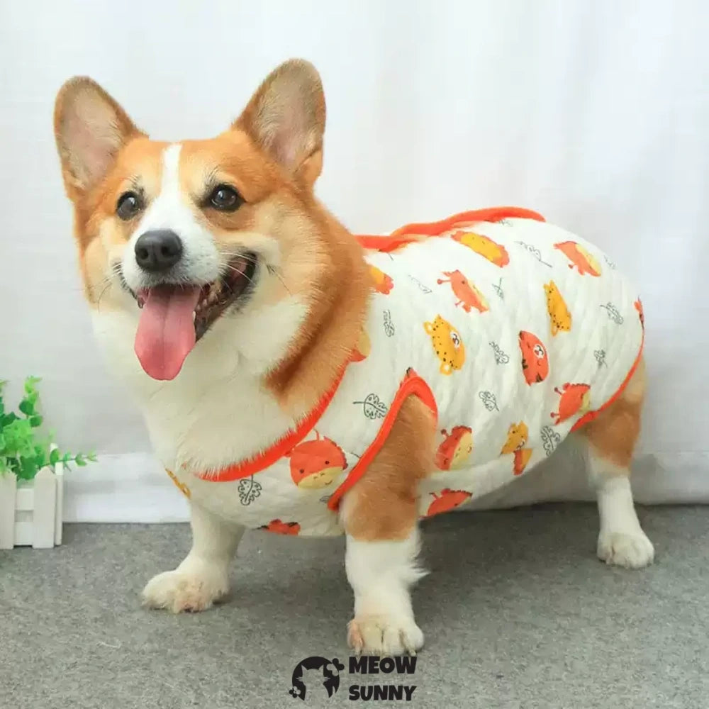Corgi winter clothes with cute animal patterns