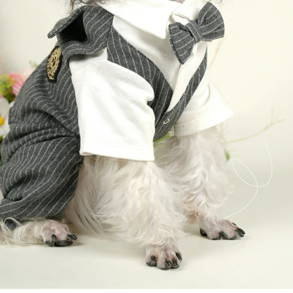 Dog suit dress pet four-legged clothes wedding suit