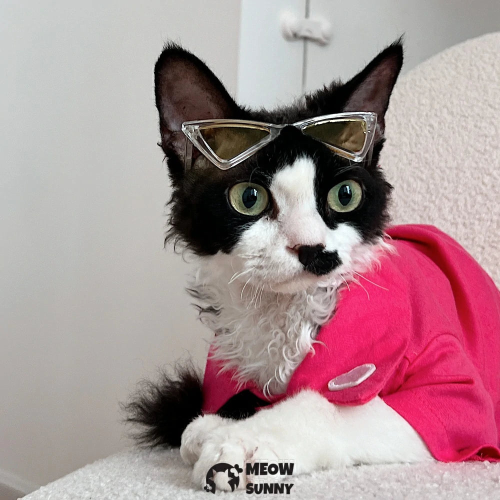 Hairless cat pure cotton multi-color POLO shirt spring skin-friendly