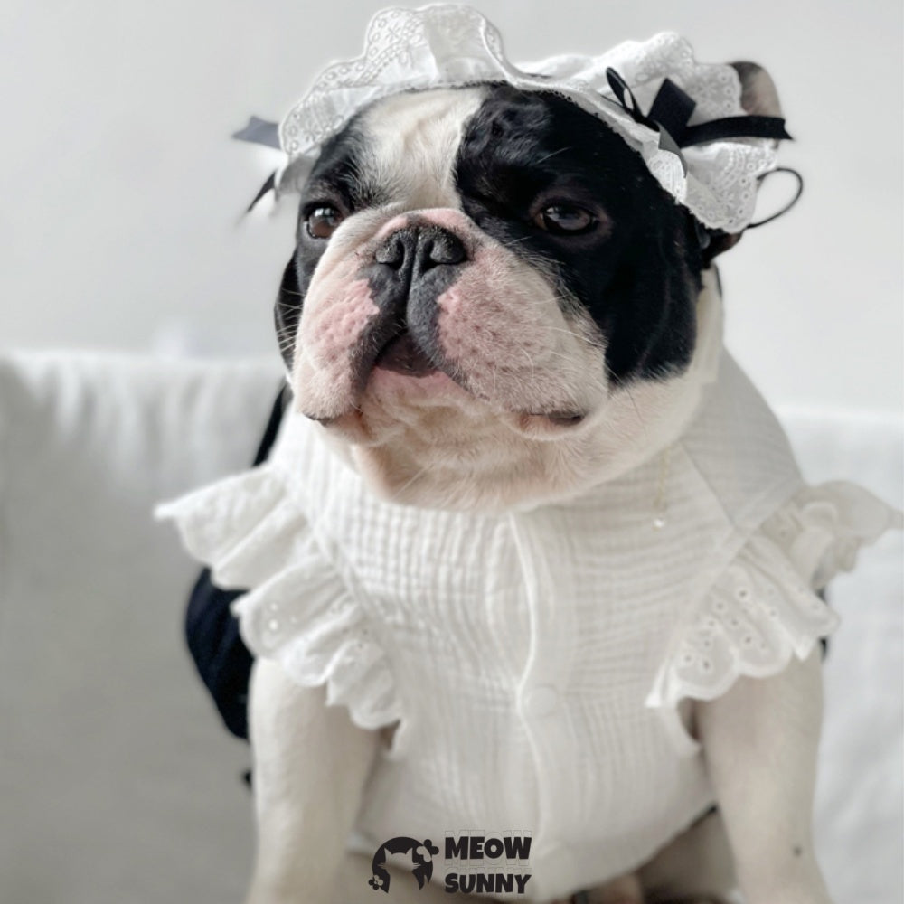 Dog Summer Clothes Puppy Sleeveless dress with hat