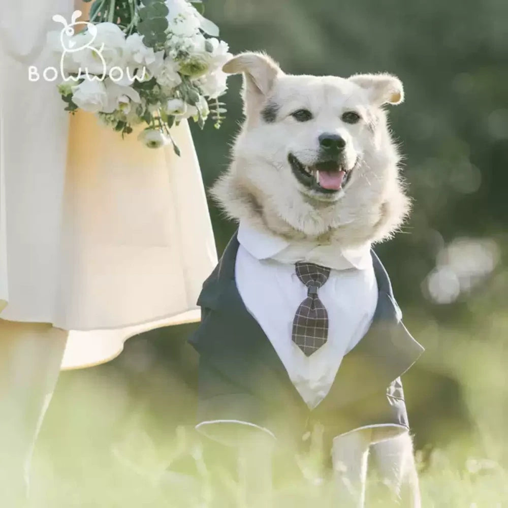 Dog suit dress tuxedo big dog wedding suit