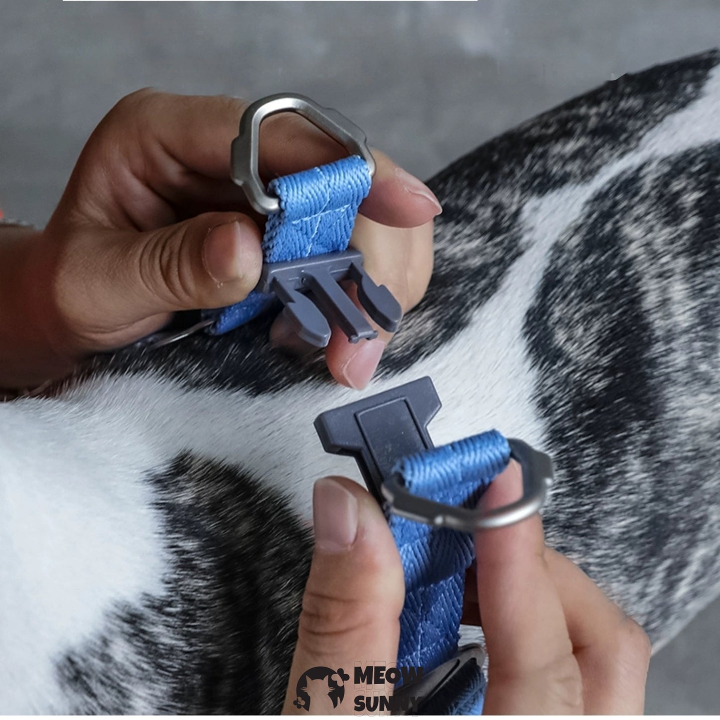 Traction Rope & Collar Set Dog Leash Dog Walking Rope Collar