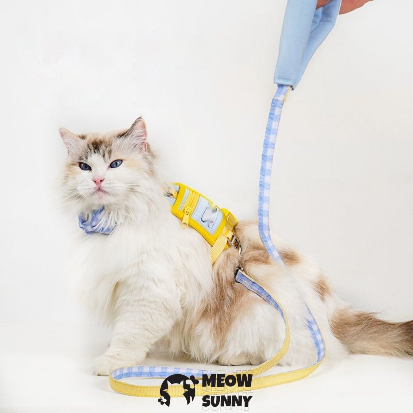 PetSafe Come with Me Kitty Nylon Cat Harness & Bungee Leash, Lilac/Yellow, Medium: 5to 18 in chest