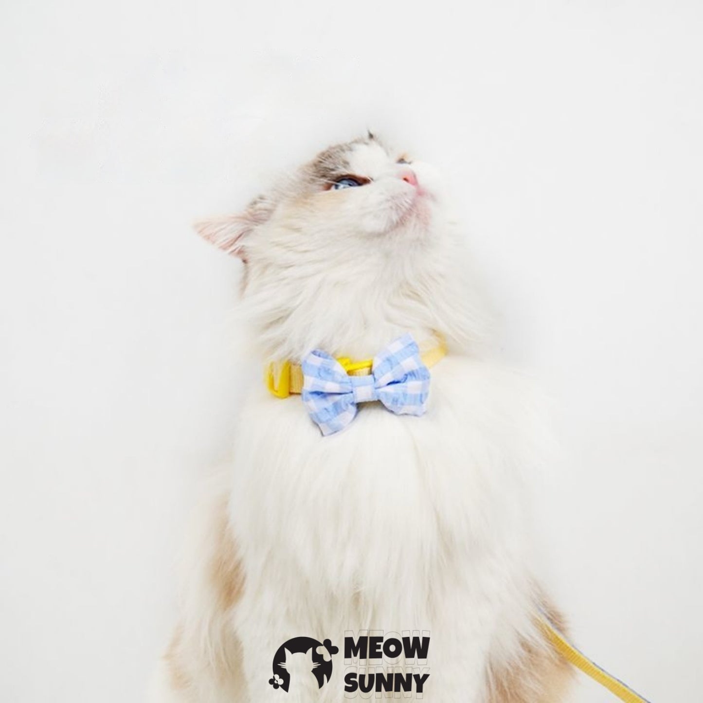 PetSafe Come with Me Kitty Nylon Cat Harness & Bungee Leash, Lilac/Yellow, Medium: 5to 18 in chest