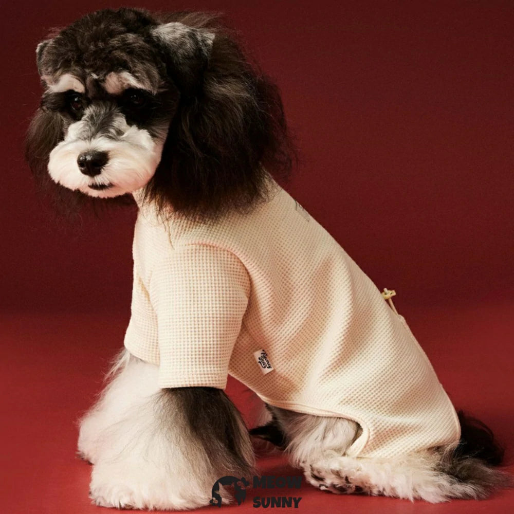 puppy autumn and winter clothes four-legged coat bottoming shirt
