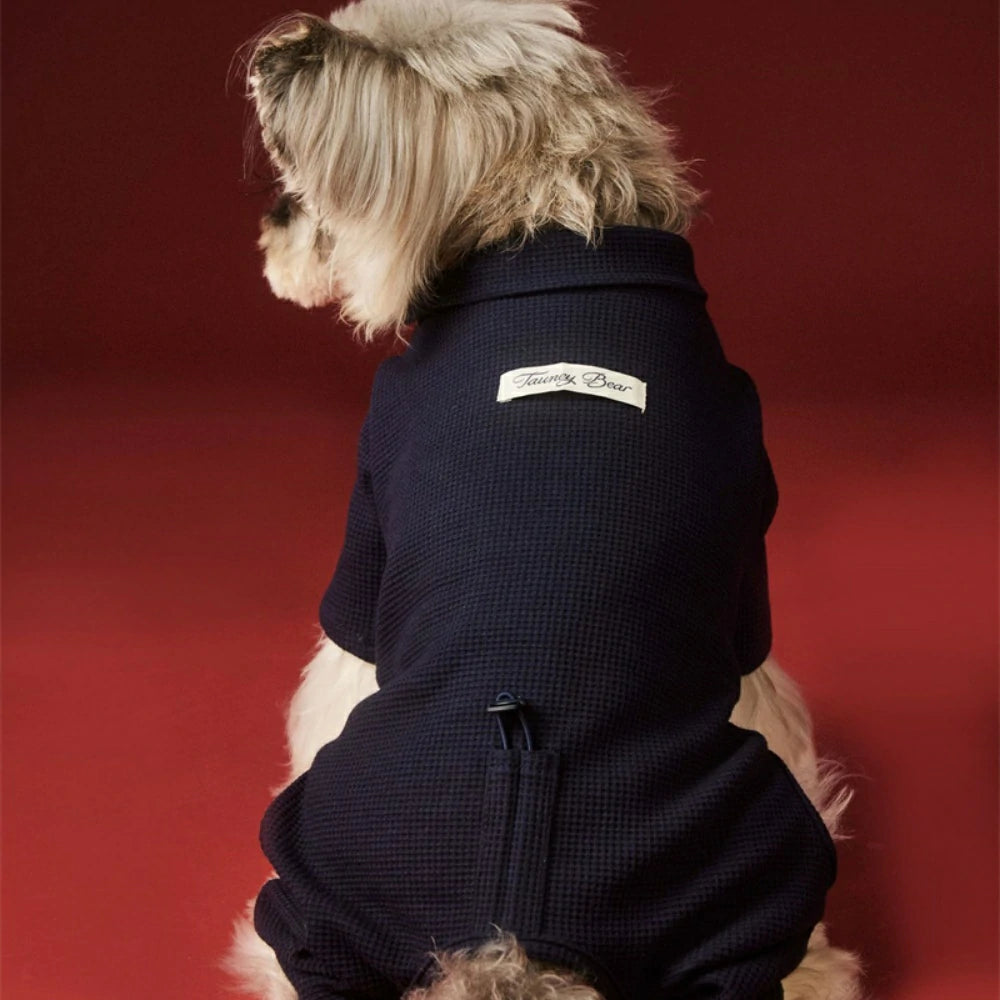 puppy autumn and winter clothes four-legged coat bottoming shirt