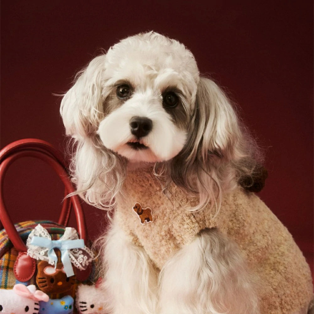 puppy clothes autumn and winter sweater vest