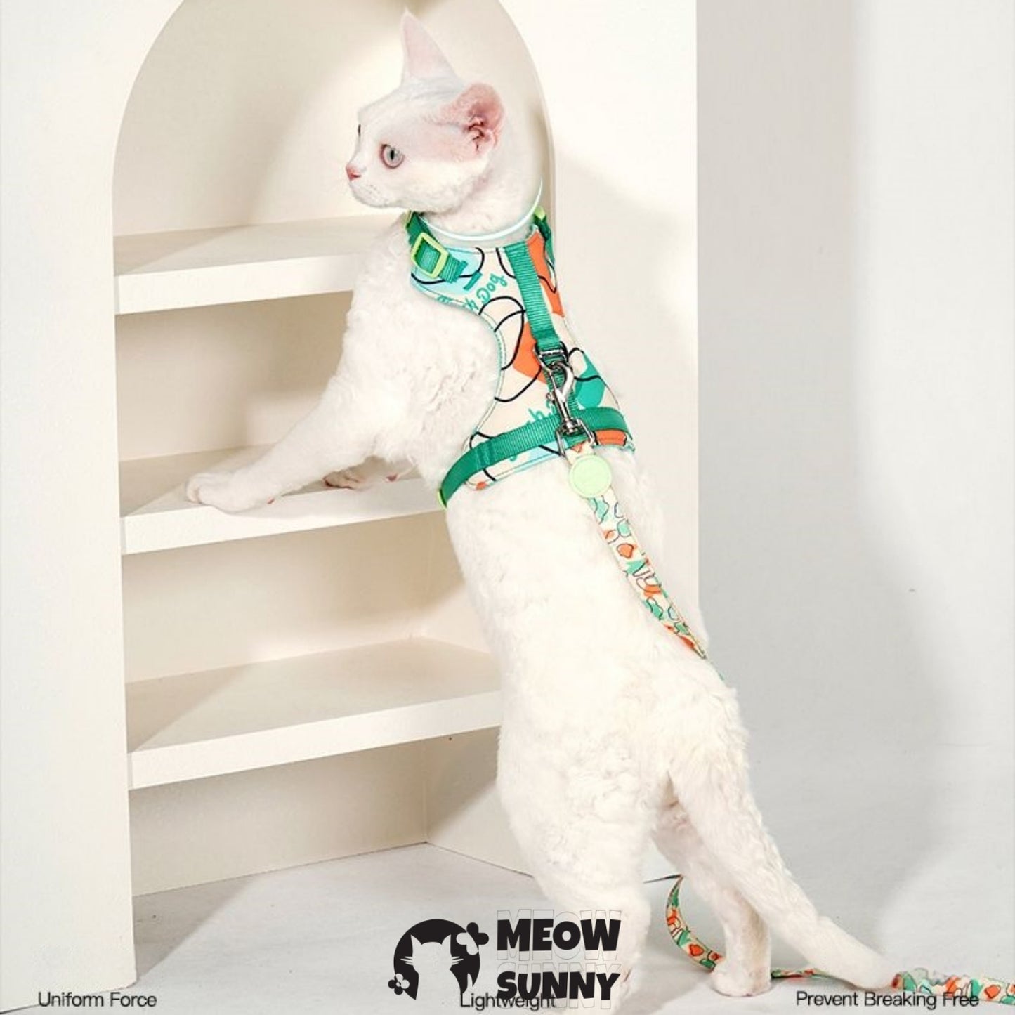 PetSafe Come with Me Kitty Nylon Cat Harness & Bungee Leash