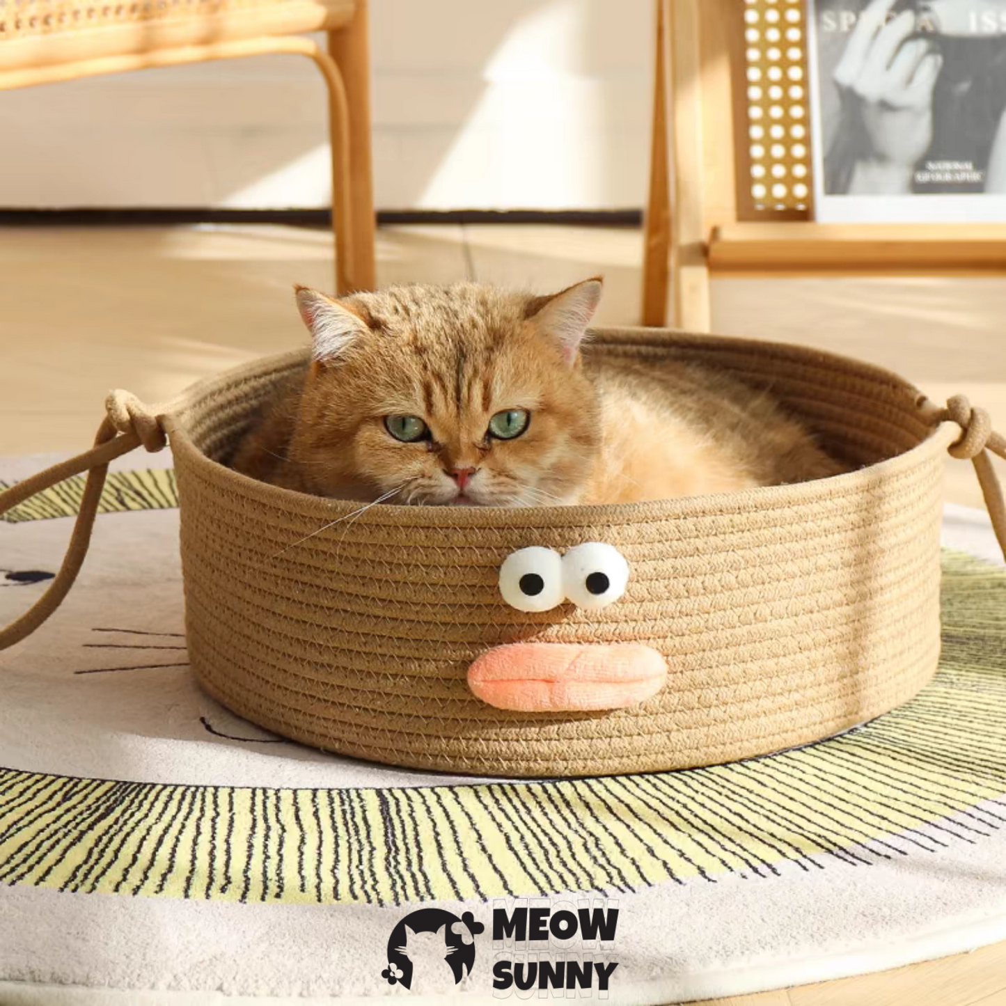 2-in-1 Bolster with Removable Cover, Cushion, Plush & Cotton Rope Cat Bed
