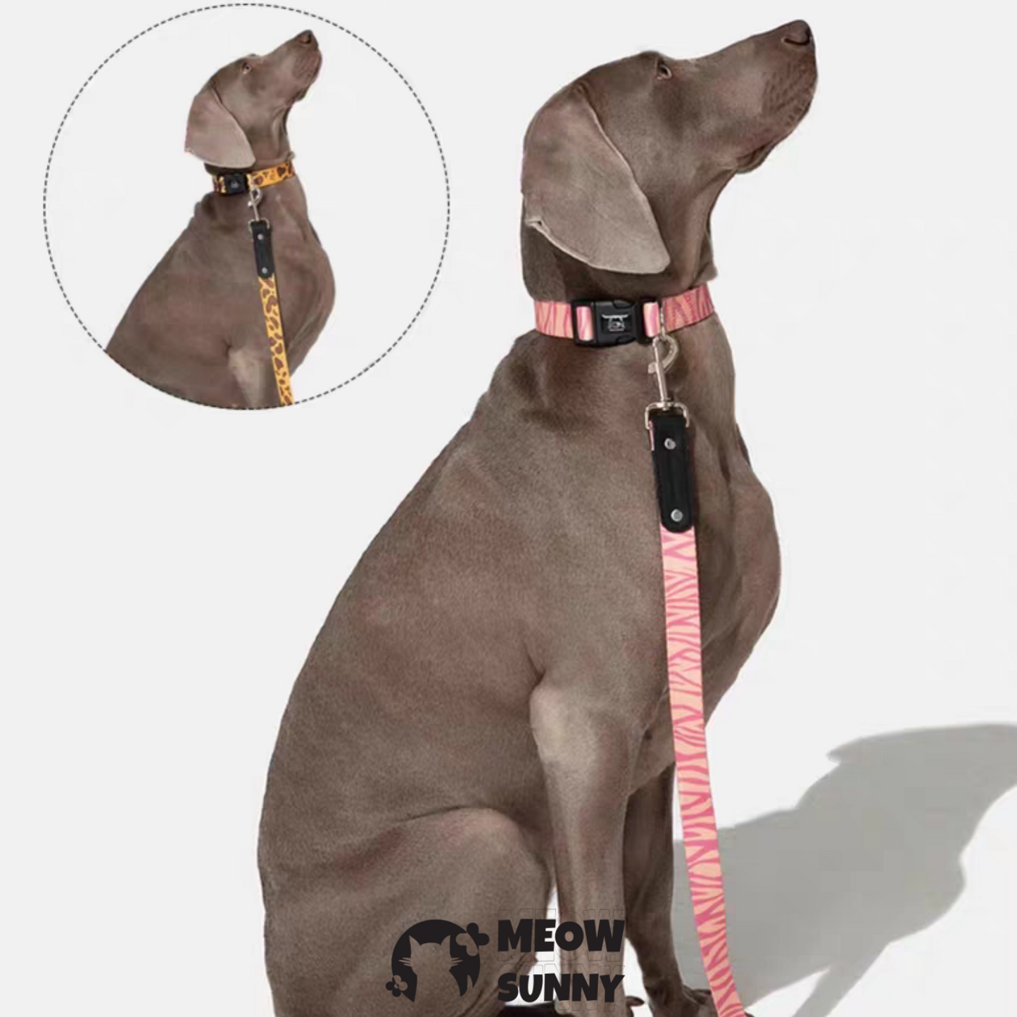 Fashion Spring Polyester Dog Collar& Leash 1.2M