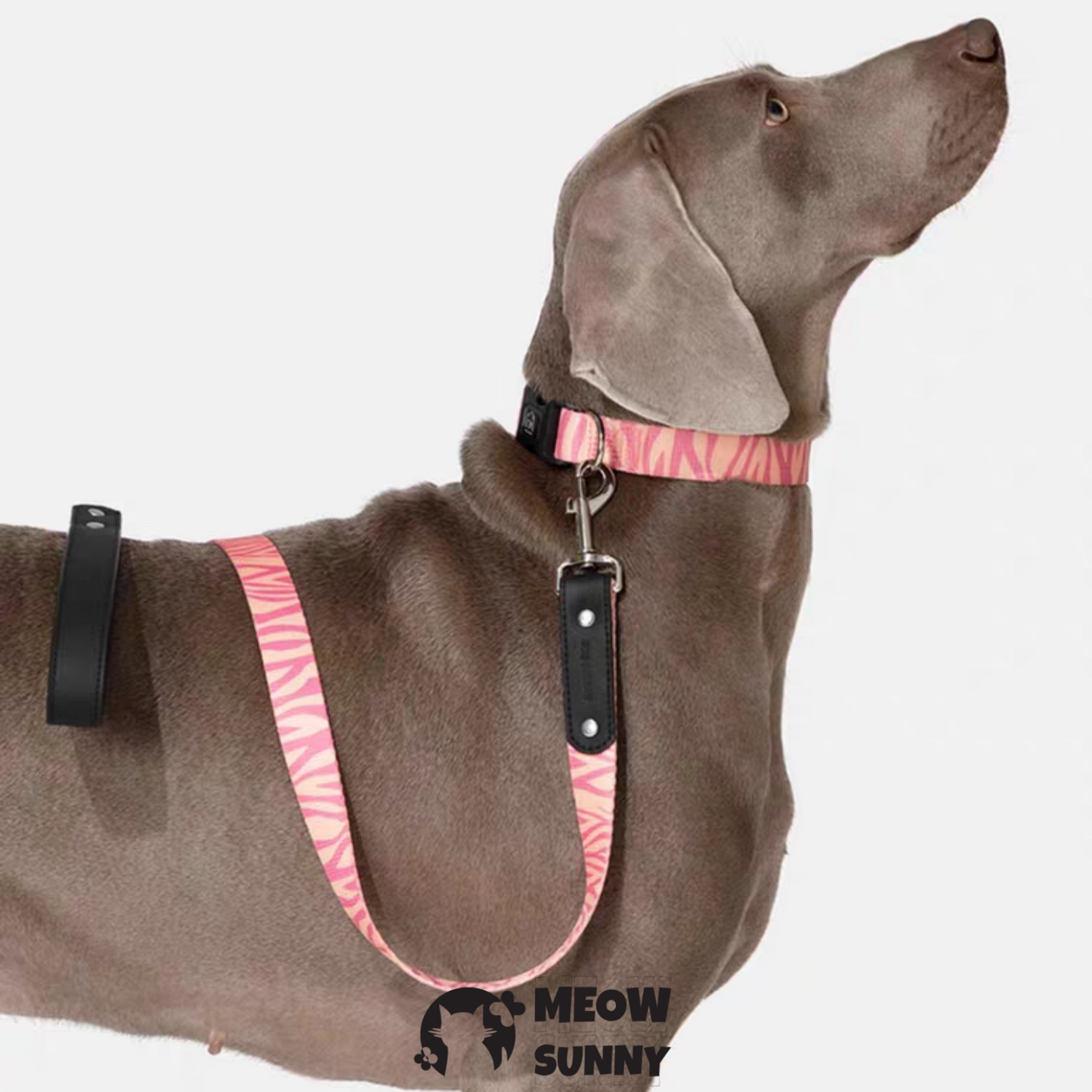 Fashion Spring Polyester Dog Collar& Leash 1.2M