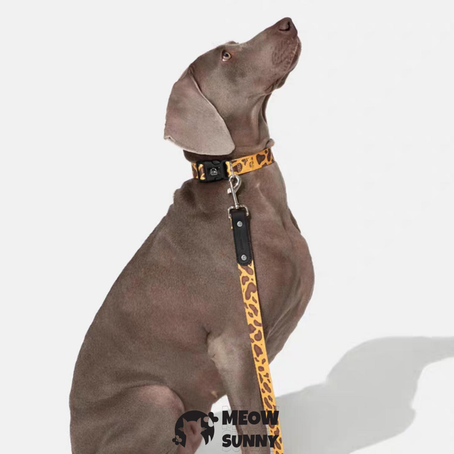 Fashion Spring Polyester Dog Collar& Leash 1.2M