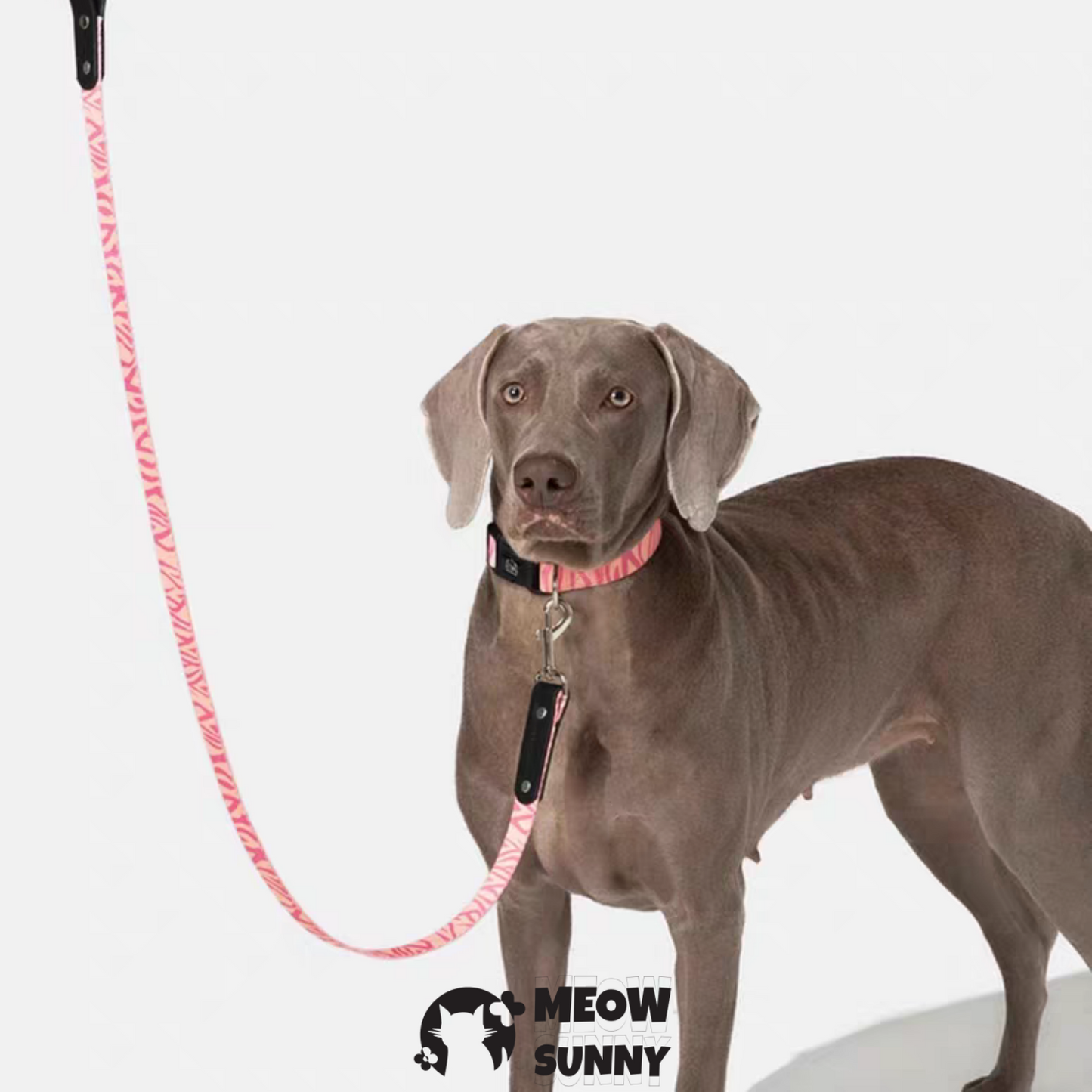 Fashion Spring Polyester Dog Collar& Leash 1.2M