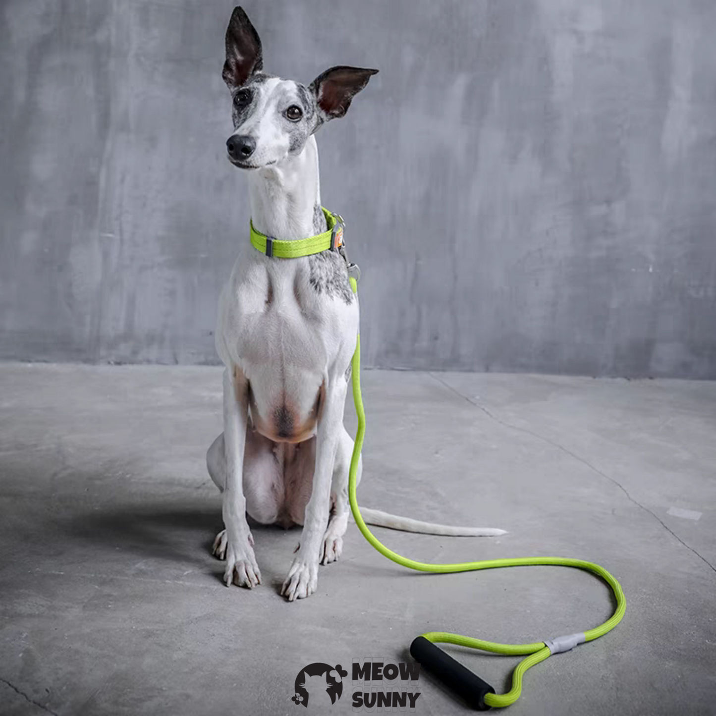 Traction Rope & Collar Set Dog Leash Dog Walking Rope Collar