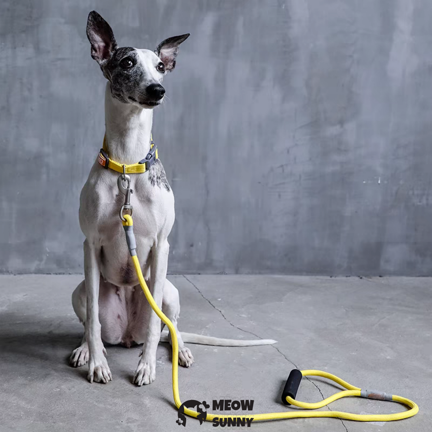 Traction Rope & Collar Set Dog Leash Dog Walking Rope Collar