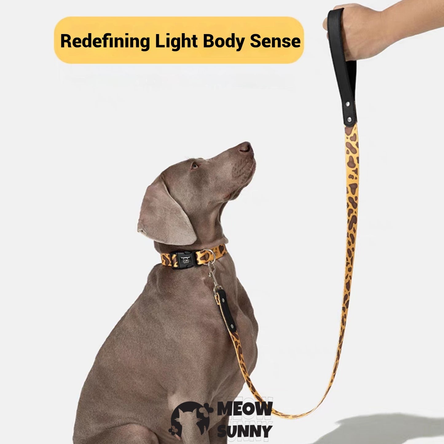 Fashion Spring Polyester Dog Collar& Leash 1.2M