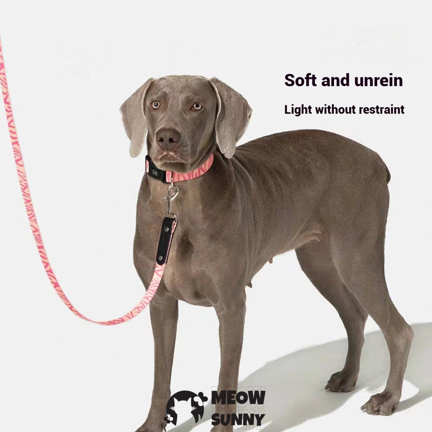 Fashion Spring Polyester Dog Collar& Leash 1.2M
