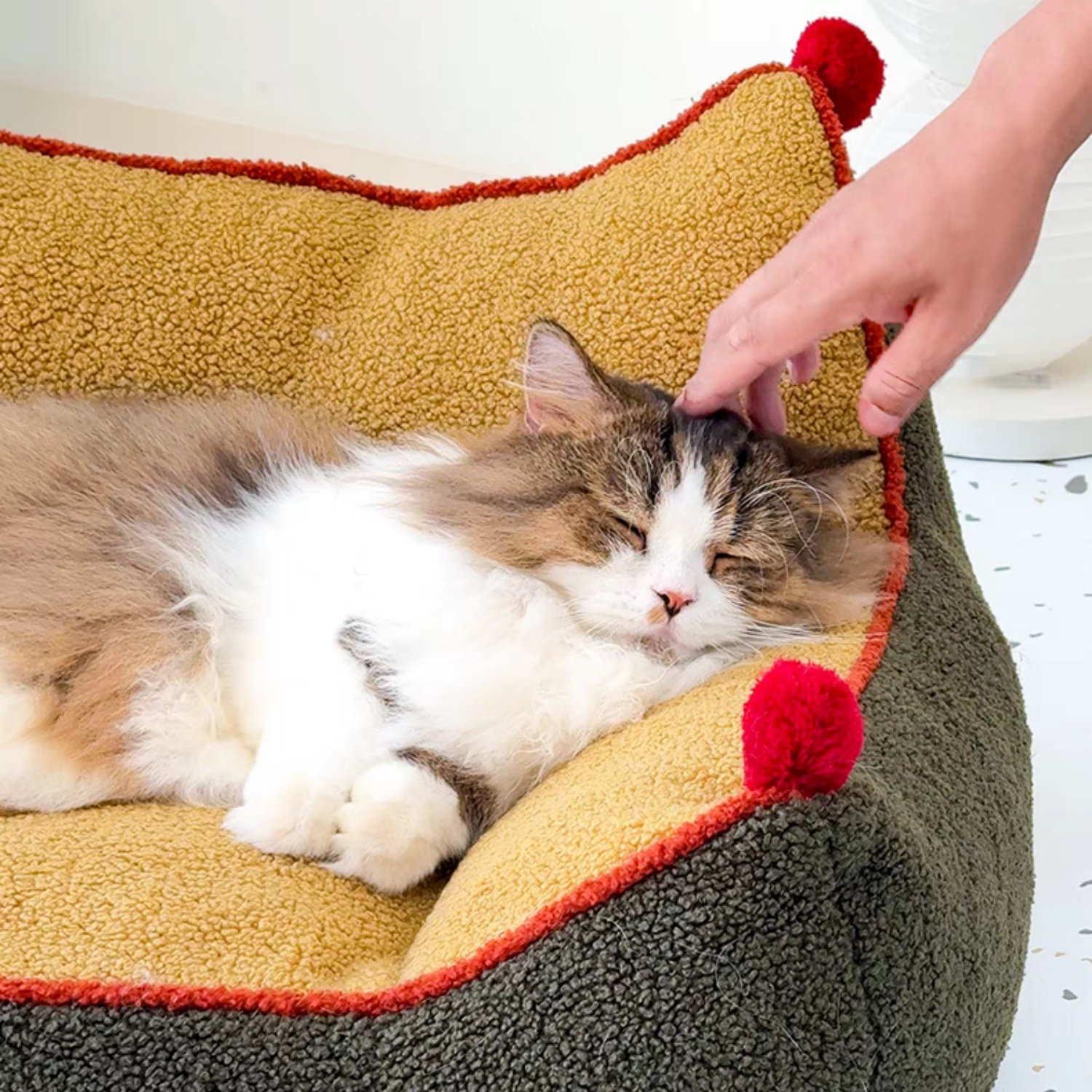 Cat beds