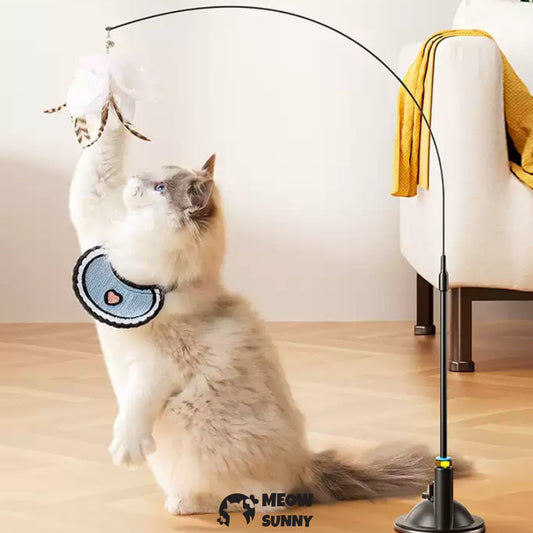 Interactive Cat Toys Natural Bird Feather
