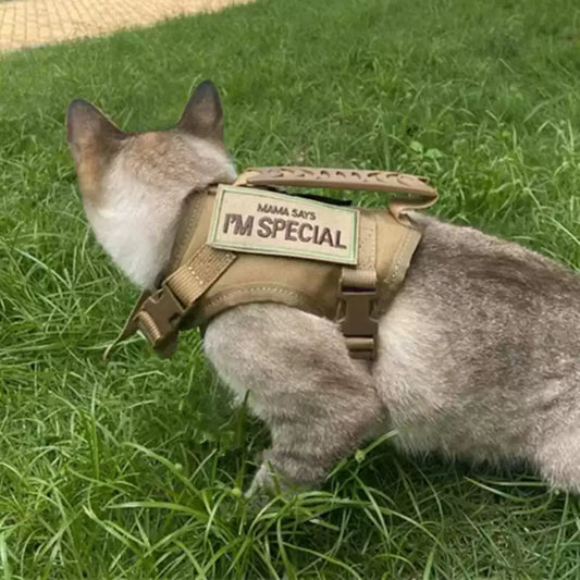 Balance No-Pull Dog Harness,  Medium: 35 to 51-cm chest