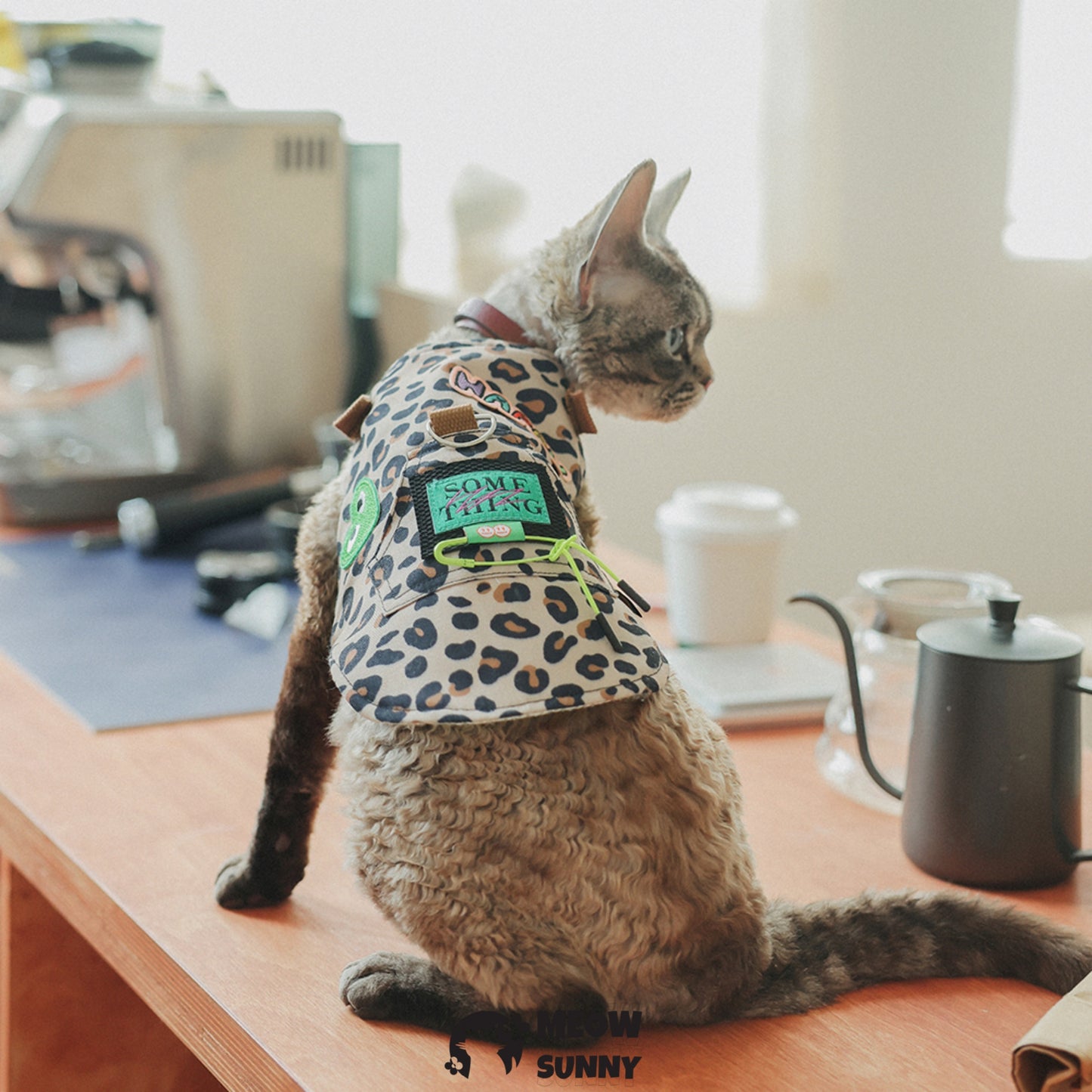 Leopard print trendy cat clothing with hat /Leashes& Harnesses set